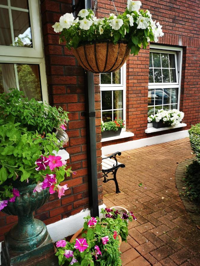 Balally House Shannon Exterior foto