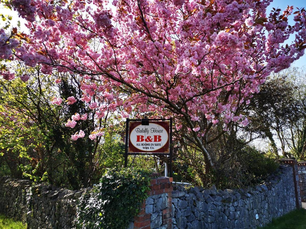 Balally House Shannon Exterior foto