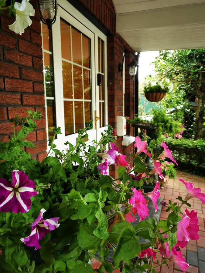 Balally House Shannon Exterior foto