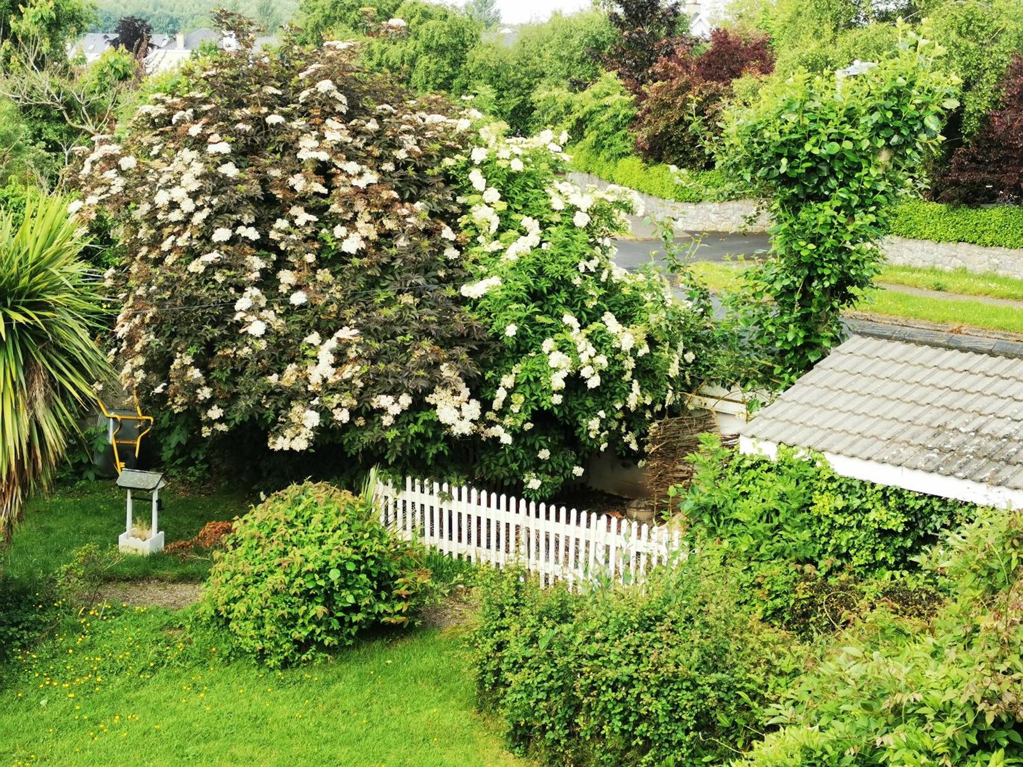 Balally House Shannon Exterior foto