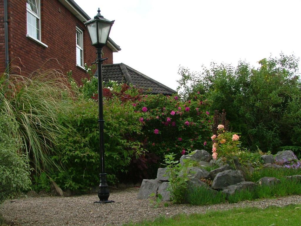 Balally House Shannon Exterior foto